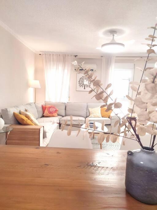 Charming & Spacious Apartment In Historic Centre & Short Walk To Beach Alicante Ngoại thất bức ảnh