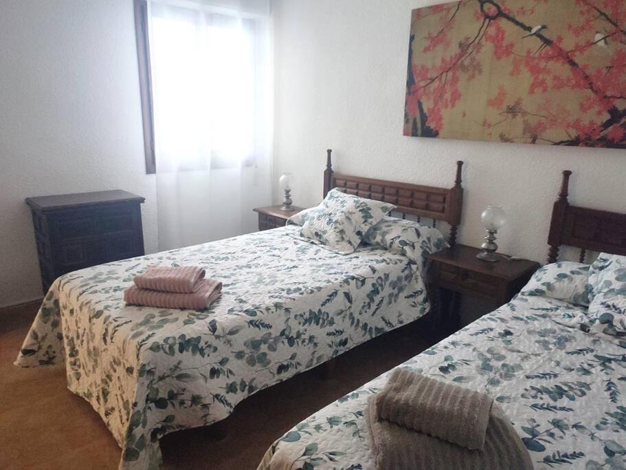 Charming & Spacious Apartment In Historic Centre & Short Walk To Beach Alicante Ngoại thất bức ảnh