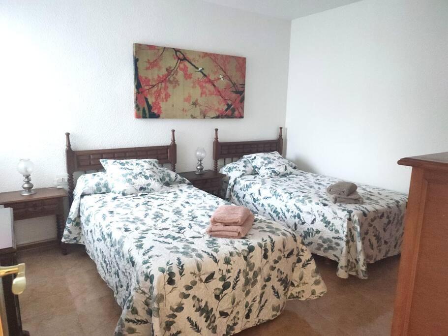 Charming & Spacious Apartment In Historic Centre & Short Walk To Beach Alicante Ngoại thất bức ảnh