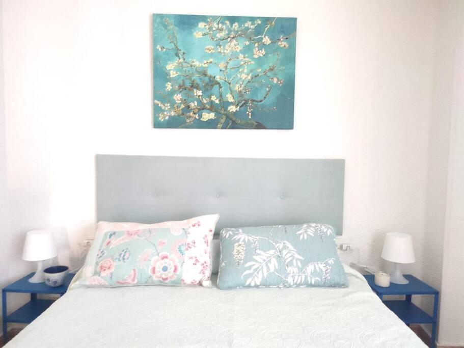 Charming & Spacious Apartment In Historic Centre & Short Walk To Beach Alicante Ngoại thất bức ảnh