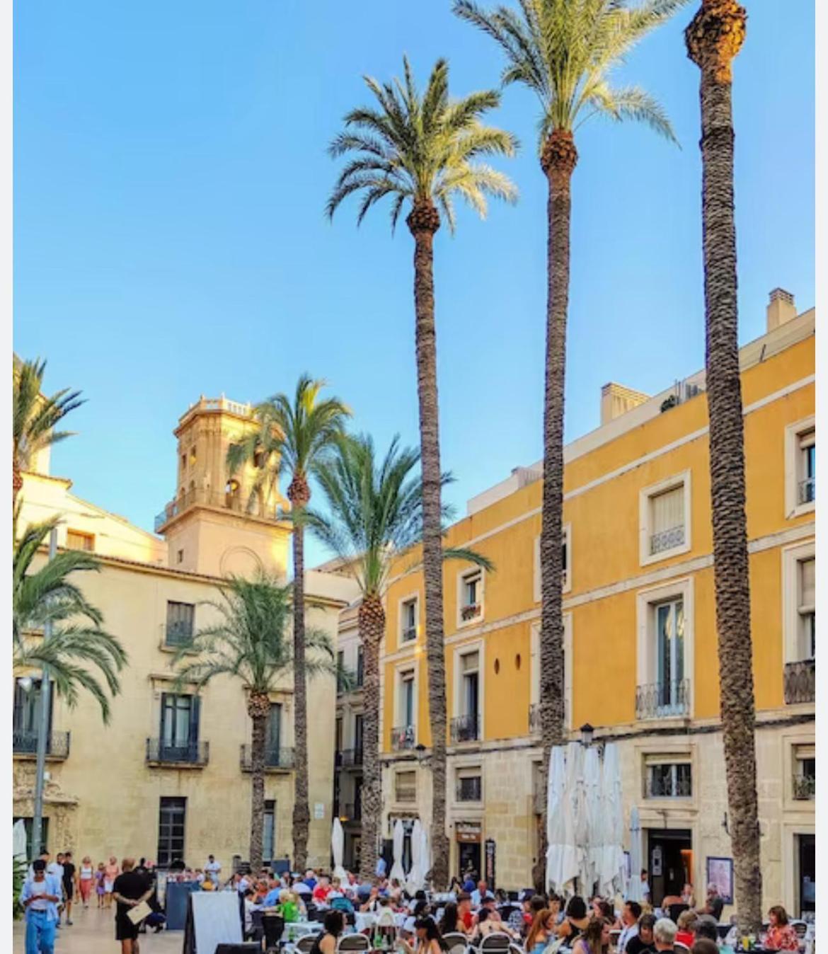 Charming & Spacious Apartment In Historic Centre & Short Walk To Beach Alicante Ngoại thất bức ảnh